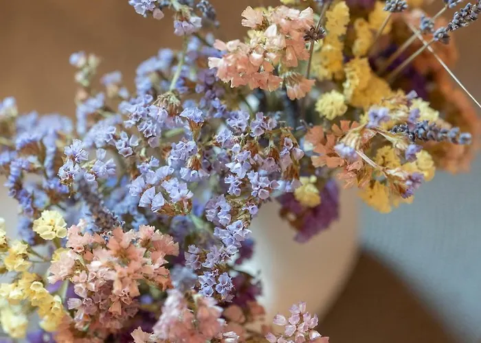 Appartamento Petra No1